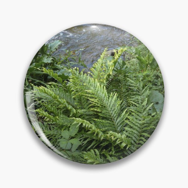 Item preview, Ferns and rapids, Warburton, Victoria designed and sold by Roz McQuillan Fine Art & Photography.