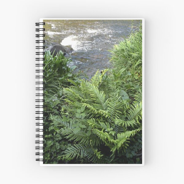 Item preview, Ferns and rapids, Warburton, Victoria designed and sold by Roz McQuillan Fine Art & Photography.