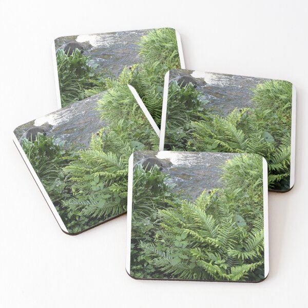Item preview, Ferns and rapids, Warburton, Victoria designed and sold by Roz McQuillan Fine Art & Photography.