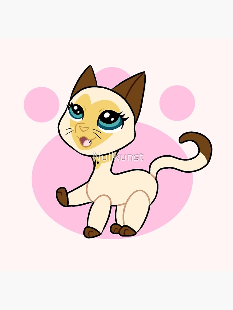 lps shorthair