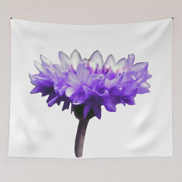 Item preview, Cornflower, Purple Violet Flower Photography, Nature designed and sold by Gulnaz Turdalieva.