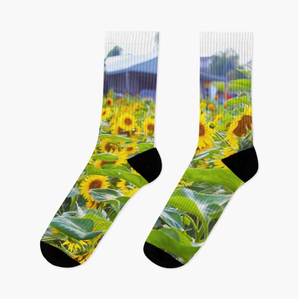 Item preview, Sunflower Field Photograph designed and sold by kayleeoconnor.