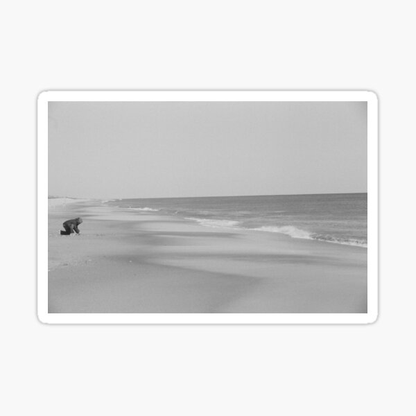Item preview, Chincoteague Island Shell Collector black and white designed and sold by Lauren Howard.