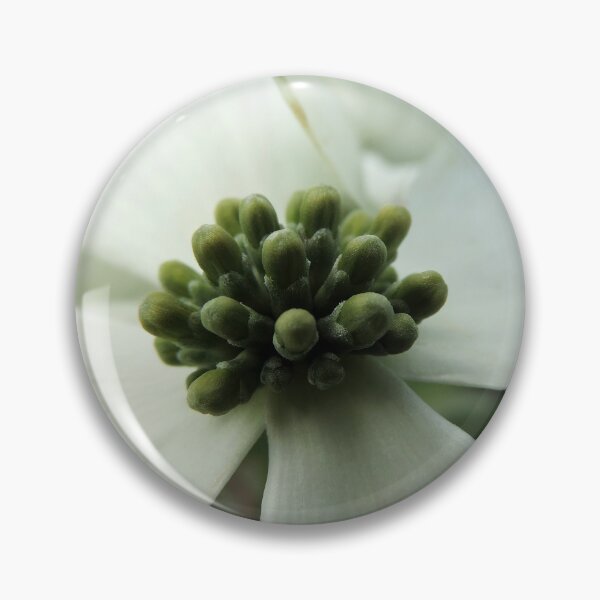 Item preview, White "Dogwood" or "Cornus" designed and sold by Marilyn Harris.