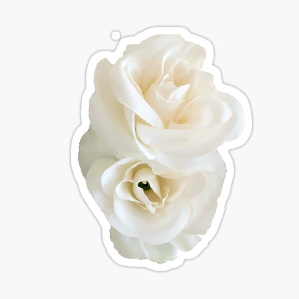 Item preview, Rosas blancas con clase hermoso diseño simple designed and sold by Adri Graterol.