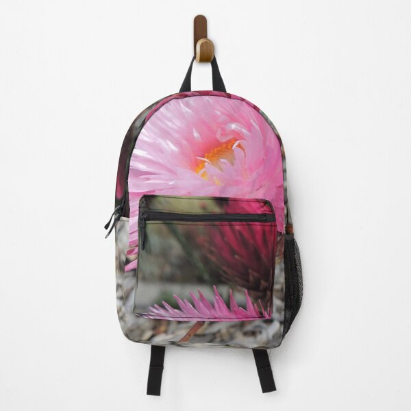 Item preview, Pink Paper Daisies (Rhodanthe chlorocephala) designed and sold by Marilyn Harris.