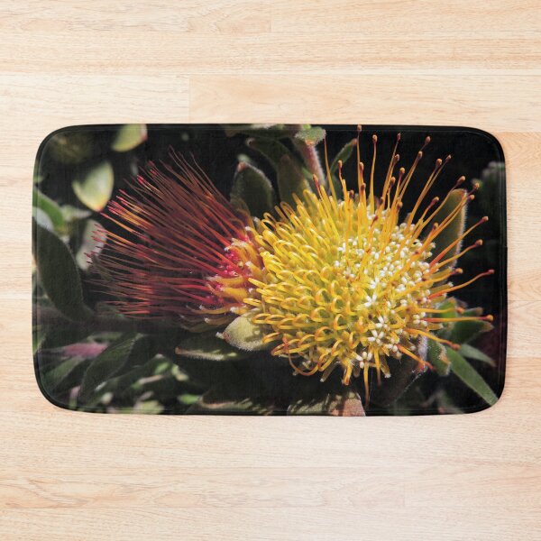 Item preview, Overberg pincushion (Leucospermum oleifolium) designed and sold by Marilyn Harris.