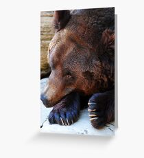 A Bears Life Greeting Card