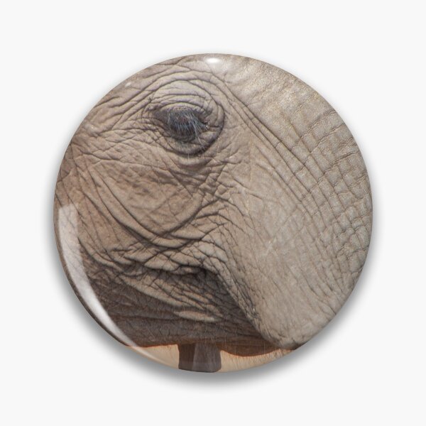 Item preview, African Elephant's Eye View Close Up designed and sold by SafariByMarisa.
