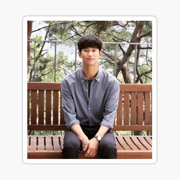 Kim Soo Hyun Sticker