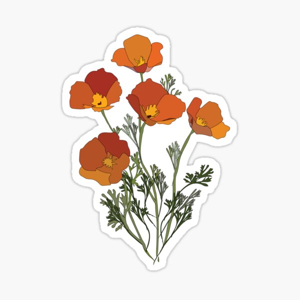 Item preview, California Poppies Illustration designed and sold by cocotoe.