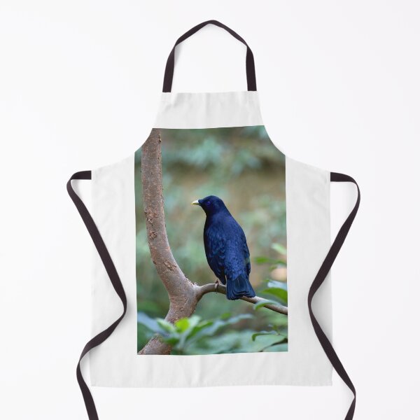 Item preview, Satin Bowerbird designed and sold by GP1746.