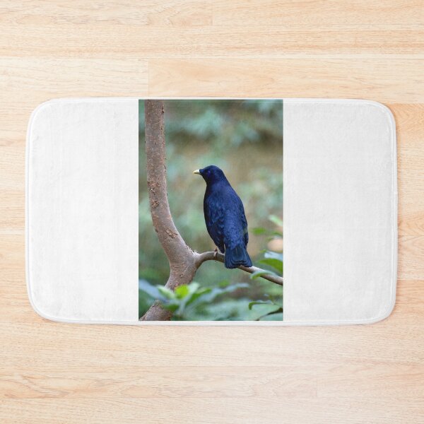 Item preview, Satin Bowerbird designed and sold by GP1746.