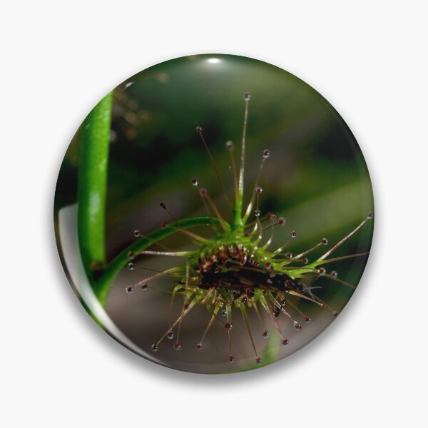 Item preview, Suppertime For Sundew designed and sold by GP1746.