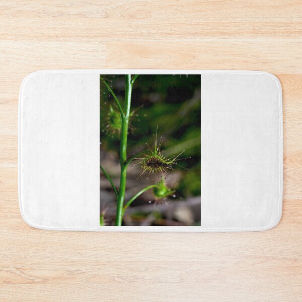 Item preview, Suppertime For Sundew designed and sold by GP1746.