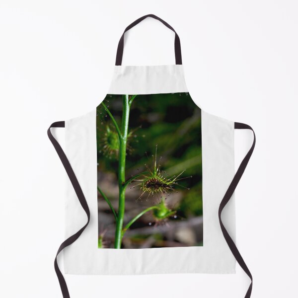 Item preview, Suppertime For Sundew designed and sold by GP1746.