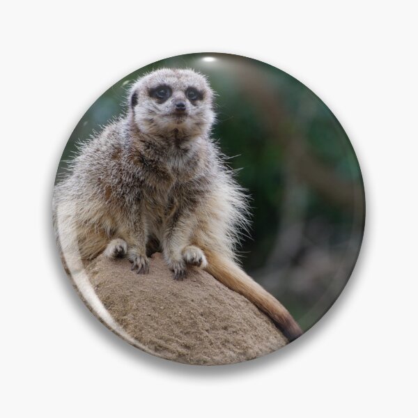 Item preview, Meerkat King Of The Castle designed and sold by GP1746.