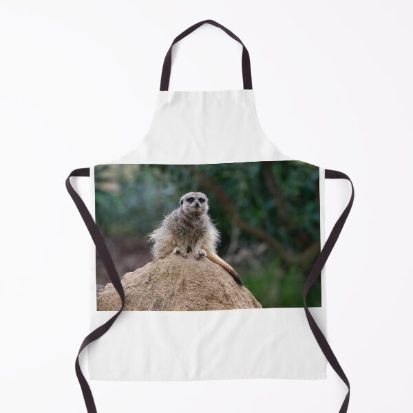 Item preview, Meerkat King Of The Castle designed and sold by GP1746.
