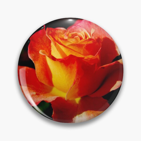 Item preview, Bright Rose designed and sold by WaterGardens.