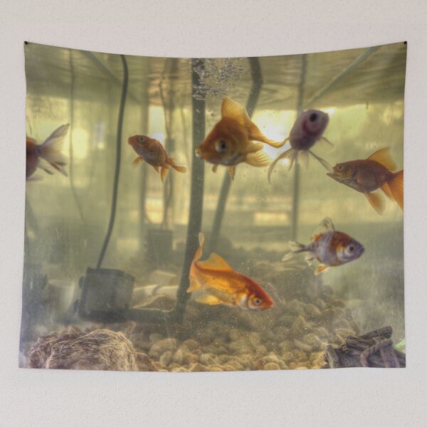Item preview, What are you looking at!?! designed and sold by shaynetwright.