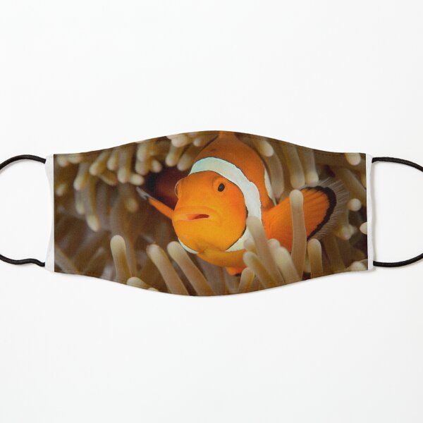 False Clown Anemonefish - Amphiprion ocellaris Kids Mask