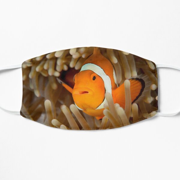 False Clown Anemonefish - Amphiprion ocellaris Flat Mask