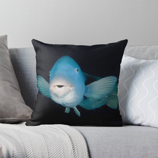Eastern Blue Groper - Achoerodus viridis Throw Pillow