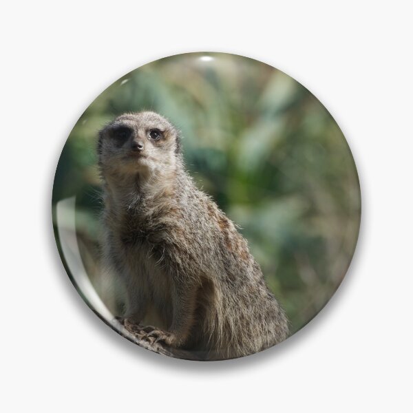 Item preview, Meerkat Branch Office designed and sold by GP1746.