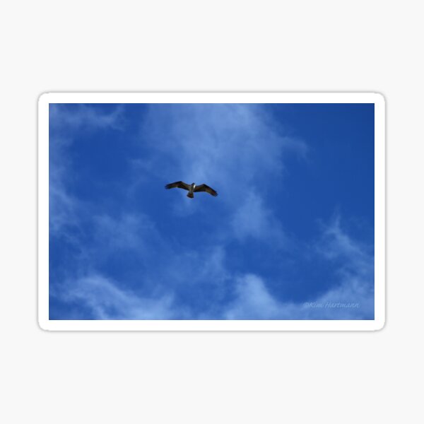 Item preview, Eyes in the Sky designed and sold by KHartmann.