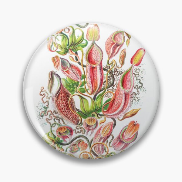 Item preview, Carnivorous Plant Vintage Illustration designed and sold by karwilberevivalcollection.