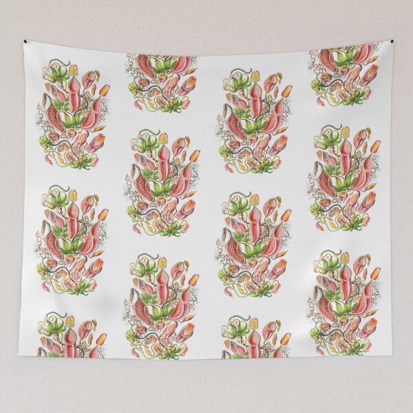 Item preview, Carnivorous Plant Vintage Illustration designed and sold by karwilberevivalcollection.