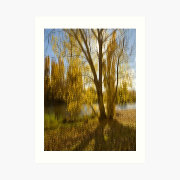 Gum tree by the Snowy River, Snowy Mountains, Australia Art Print