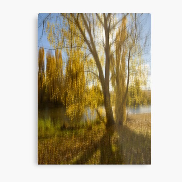 Gum tree by the Snowy River, Snowy Mountains, Australia Metal Print