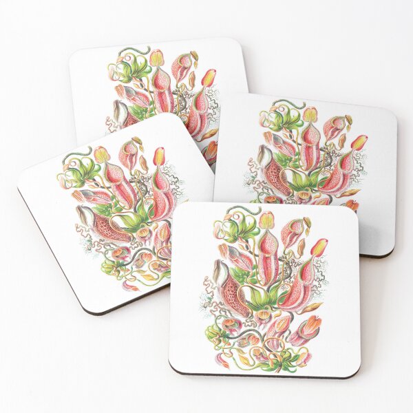 Item preview, Carnivorous Plant Vintage Illustration designed and sold by karwilberevivalcollection.