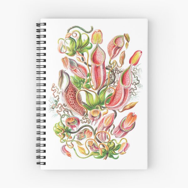 Item preview, Carnivorous Plant Vintage Illustration designed and sold by karwilberevivalcollection.