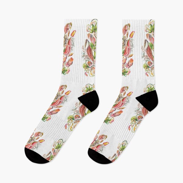 Item preview, Carnivorous Plant Vintage Illustration designed and sold by karwilberevivalcollection.