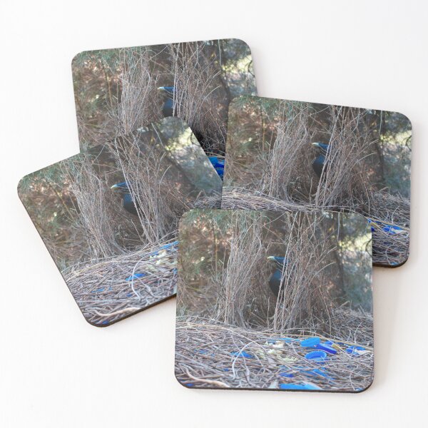 Item preview, Satin Bowerbird in his bower designed and sold by notjustamwac.