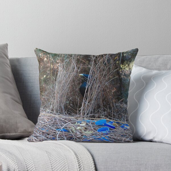 Item preview, Satin Bowerbird in his bower designed and sold by notjustamwac.
