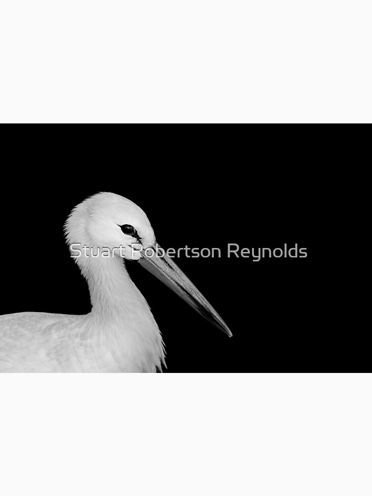 White Stork by Sparky2000