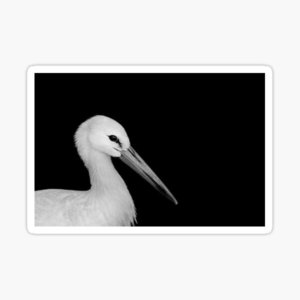White Stork Sticker