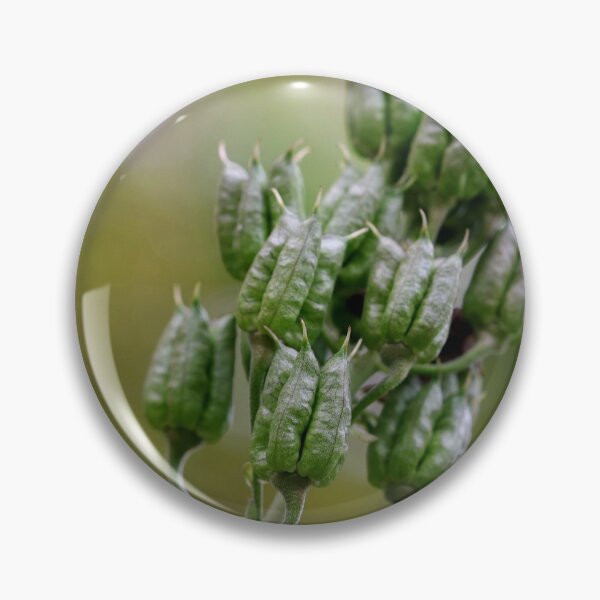 Item preview, Still a Garden Jewel designed and sold by cuprum.