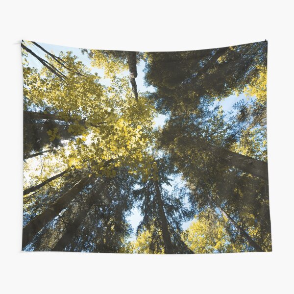 Canopy of Tall Trees Tapestry