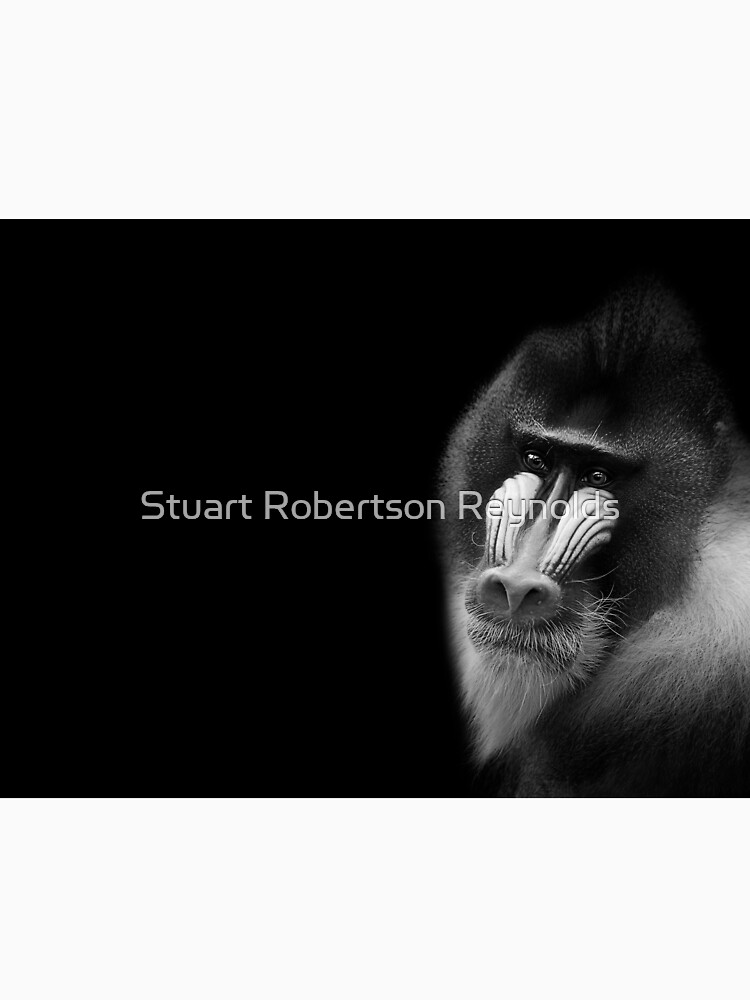 Mandrill by Sparky2000
