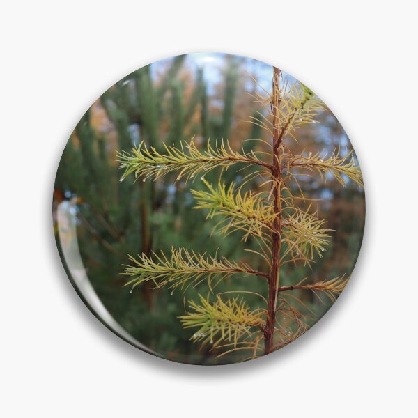 Item preview, Evergreen designed and sold by cuprum.