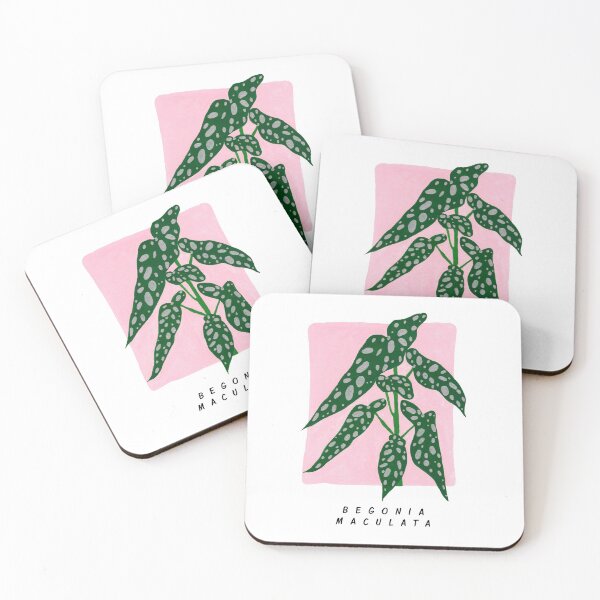 Item preview, Begonia maculata designed and sold by Aidi Riera.