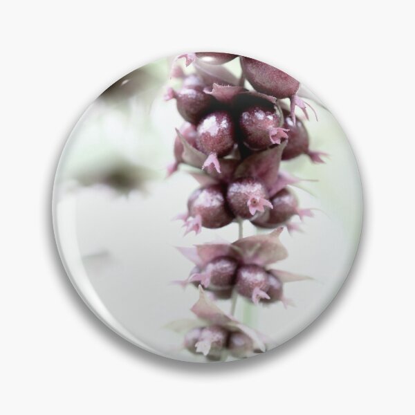 Item preview, Pheasant berry in high key designed and sold by cuprum.