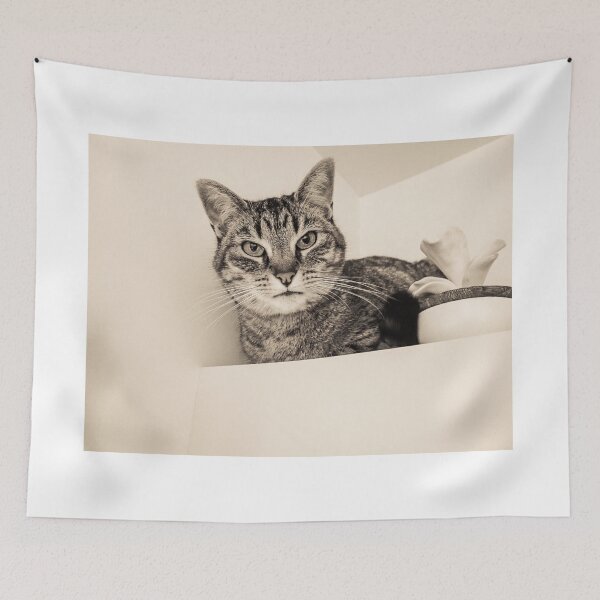 Item preview, The cat at the top of the cupboard designed and sold by jsebouvi.