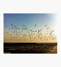 The thousand miles...Got 2 Featured Work:) Photographic Print