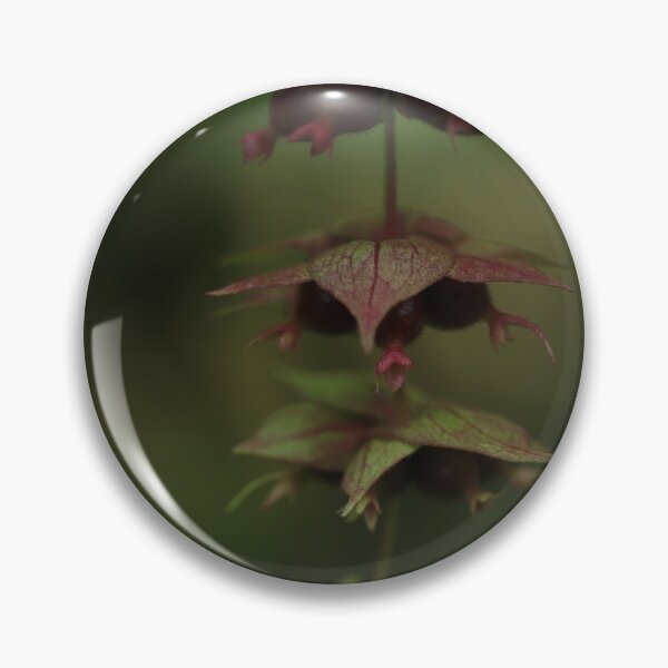 Item preview, Pheasant berry in low key designed and sold by cuprum.