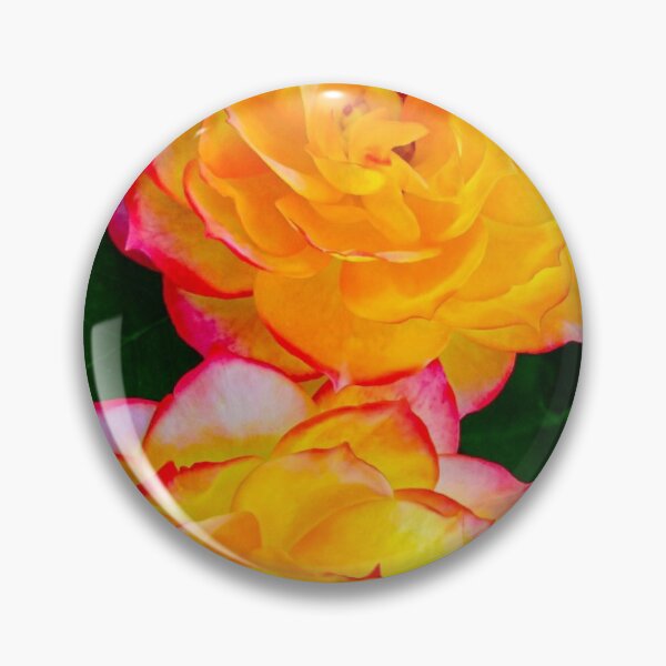 Aperçu de l'œuvre Roses caméléon en pleine floraison créée et vendue par MagicMoon23.